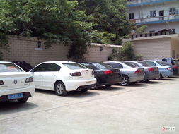 新起點汽車租賃 智能科技驅(qū)動的未來出行服務(wù)