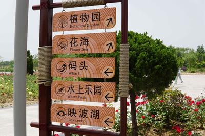 速派的閑適生活 路牌下的悠然時(shí)光